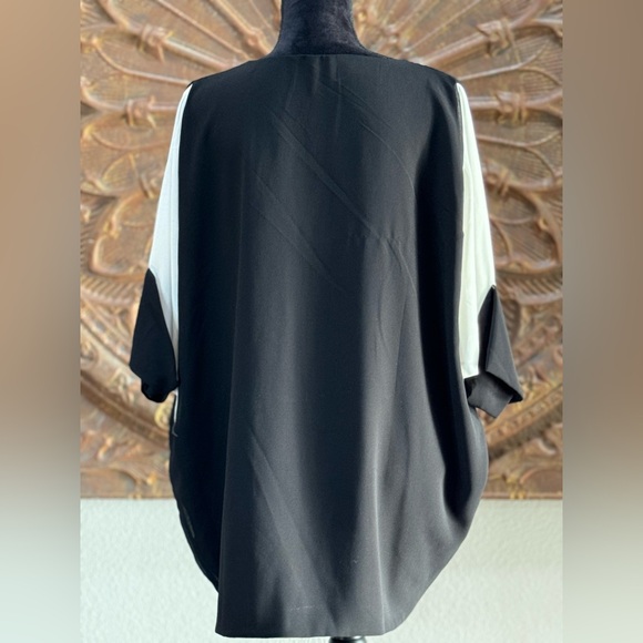 Fully Lined Batwing Blouse - Picture 2 of 2